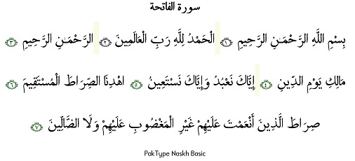 PakType Naskh Basic Sample